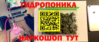 шишки Нарткала