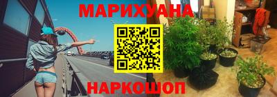 шишки Нарткала