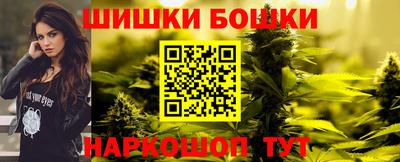 стафф Нальчик