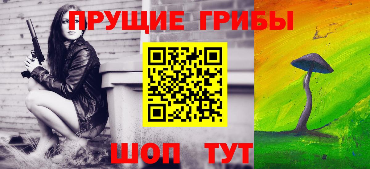Псилоцибиновые грибы MAGIC MUSHROOMS  что такое наркотик  Вход с VPN  Туапсе  Галлюциногенные грибы Psilocybine cubensis 